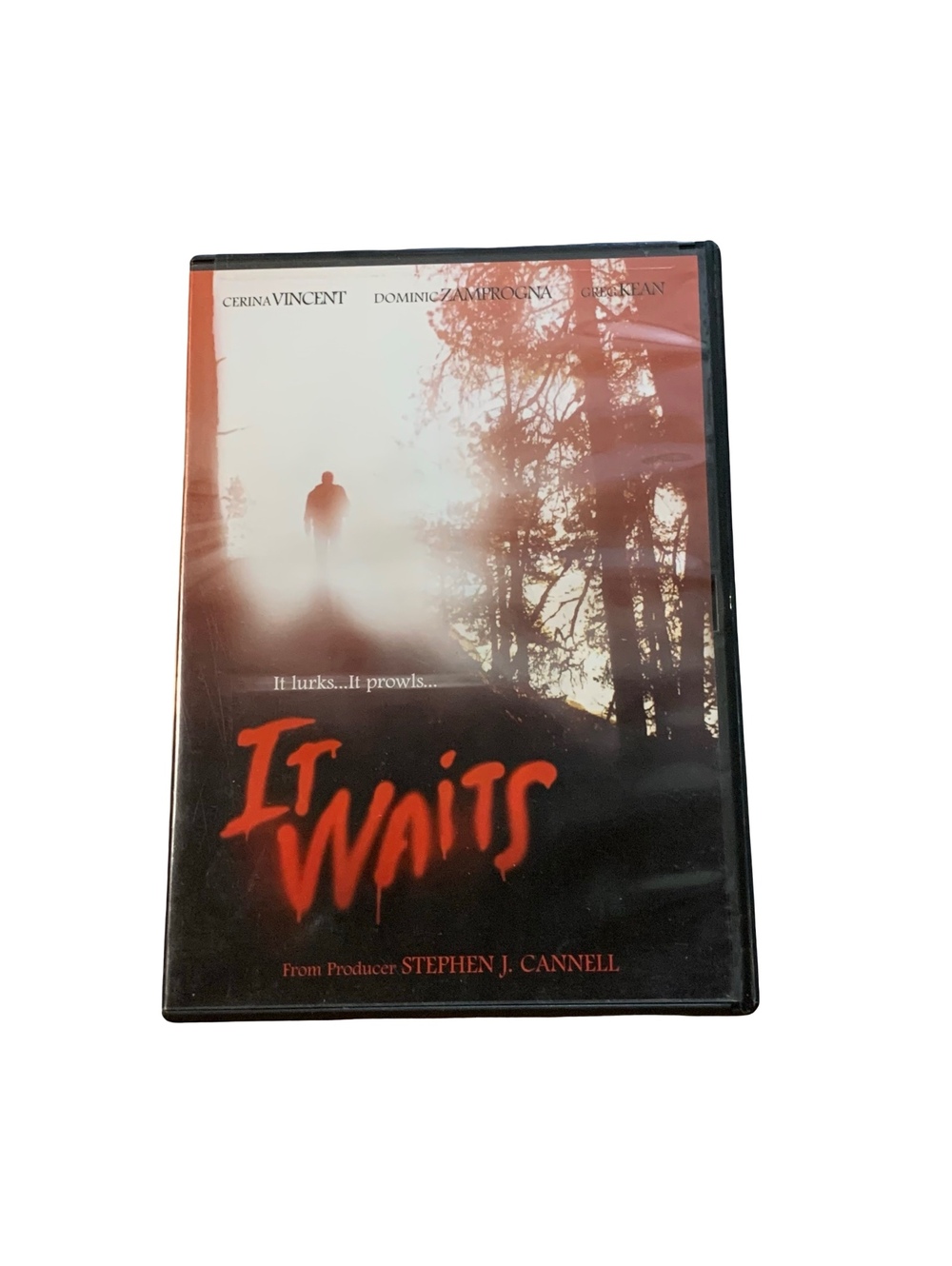 It Waits DVD 2005 Horror Supernatural Thriller Cerina Vincent Dominic